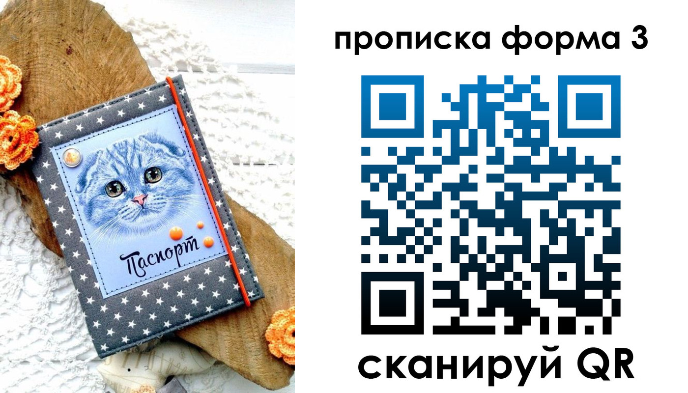 прописка поиск в Райчихинске